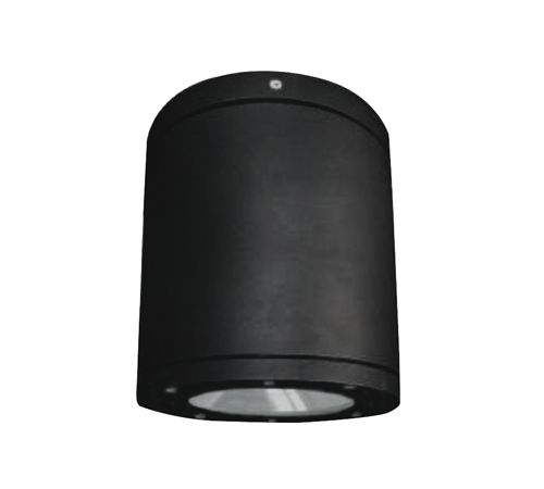 LED Down Light